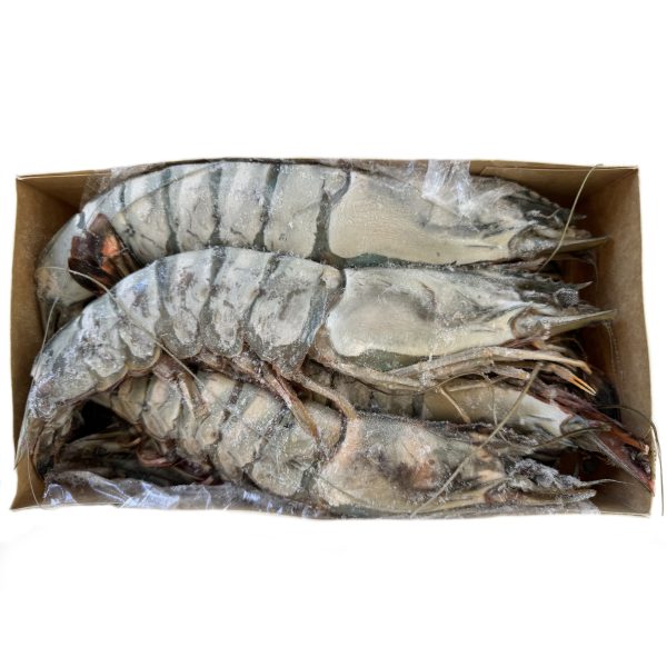 Camarão de Moçambique Tigre Gigante - Pescanova - Image 3
