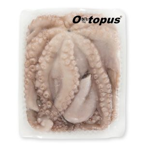 Polvo de Marrocos - Otopus