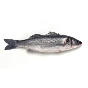Robalo