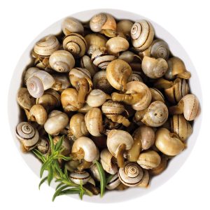 Caracóis