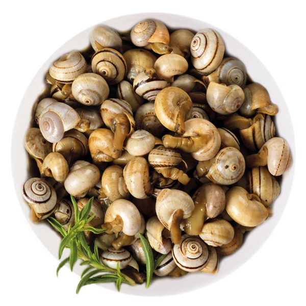 Caracóis
