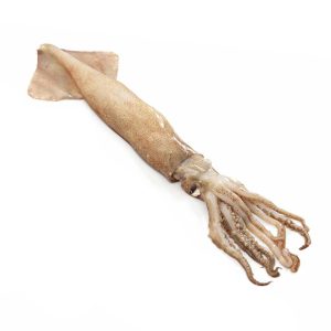 Pota