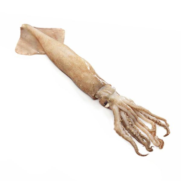 Pota