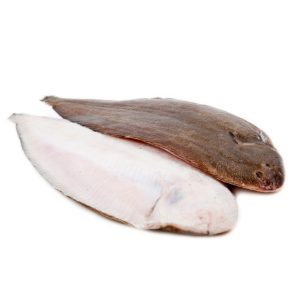Linguado da Guiné