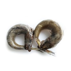 Pescadinhas de Rabo na Boca